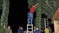 Binden am Donnerstag 097
